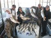 (11/29/2014) - Nice Striped Bass